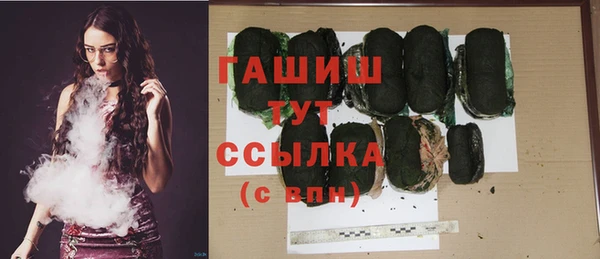 крисы Коряжма