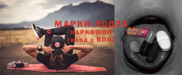 прущая мука Корсаков