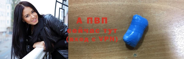 крисы Коряжма