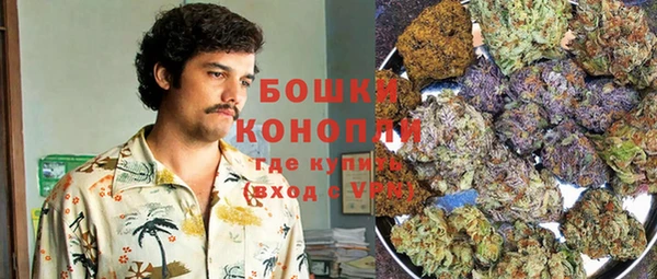 крисы Коряжма