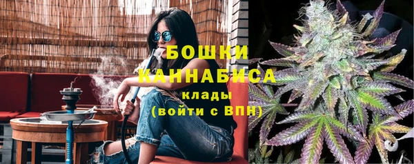 крисы Коряжма