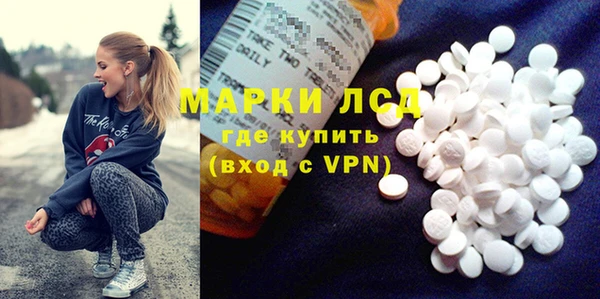 крисы Коряжма