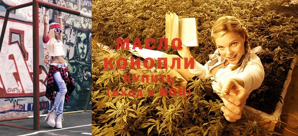 крисы Коряжма