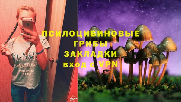 прущая мука Корсаков