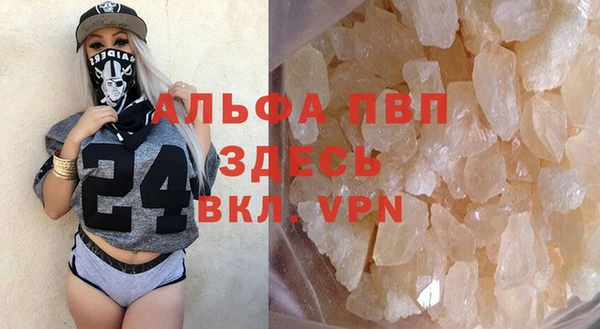 прущая мука Корсаков