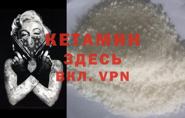 крисы Коряжма