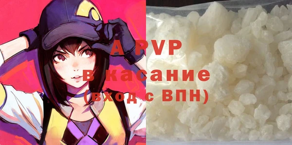крисы Коряжма